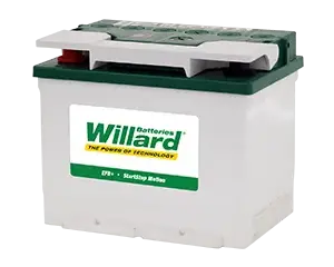 Willard Battery - 738 Leisure