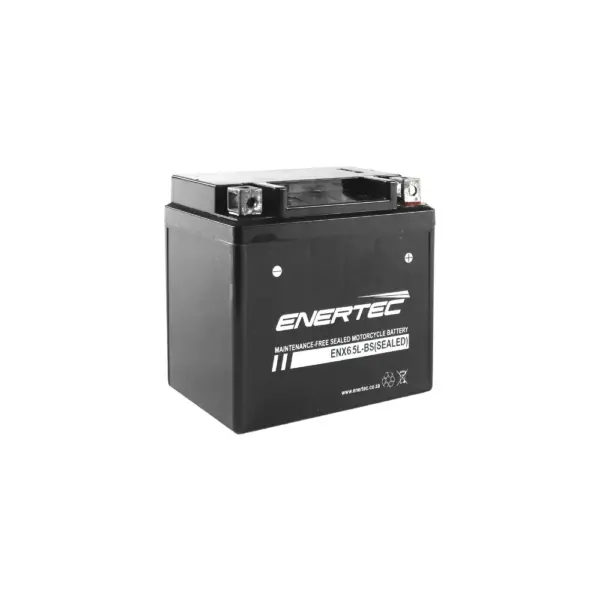 ENX6.5LBS Enertec